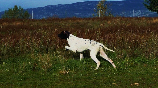 Des Rousses Des Balmes - Changement de prénom pour LOUP