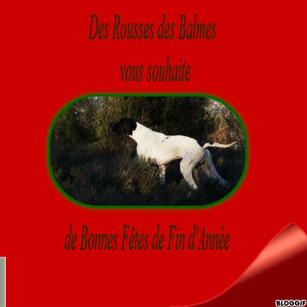 Des Rousses Des Balmes - Bon Bout d'An.... 