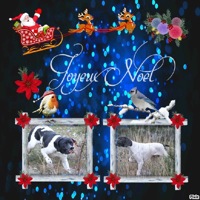 Des Rousses Des Balmes - Il nous a donné au Pére Noel...... ;)